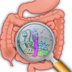 Preparate pentru normalizarea microflorei intestinale: o listă și o descriere a medicamentelor