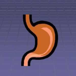 Cauze și simptome de gastrită atrofică