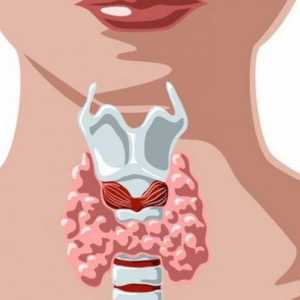 Cauze, simptome, diagnostic și tratament al tiroiditei postpartum