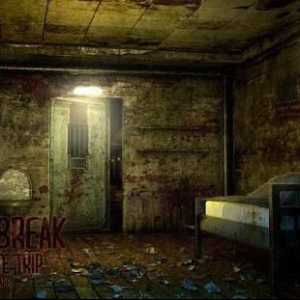 Prison Break: trecerea jocului, coduri, moduri și recomandări