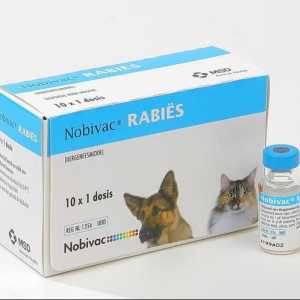 Vaccinarea "Nobivak Rabies". instrucție