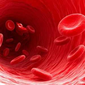 Semne și cauze de hemoglobină scăzută la femei