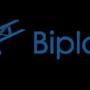 Proiectul "Biplane Life": comentarii despre activitatea pe Internet