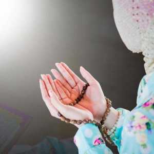 Curse în rugăciune: descriere, trăsături. Câte rak`ah-uri în fiecare rugăciune?
