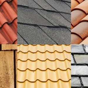 O varietate de acoperișuri - tipuri de acoperiri