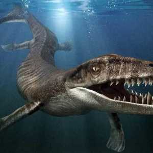 Monstrii de mare real (fotografie)