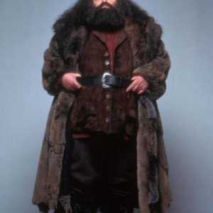 Rubeus Hagrid: un actor și rolul său