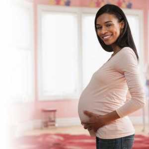 În ce lună se înscriu mamele care se așteaptă la concediu de maternitate?