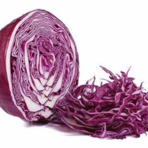 Салат из синей капусты - вкусное и полезное блюда