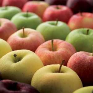 Самые разнообразные сорта яблони