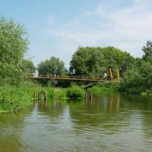 Cel mai mare afluent al râului. Seversky Donets - Oskol (râu)