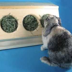Сенник - это приспособление для кроликов. Какие бывают сенники и как сделать их самостоятельно?