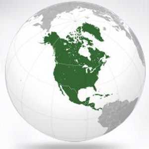 America de Nord - probleme de mediu. Probleme ecologice ale continentului nord-american