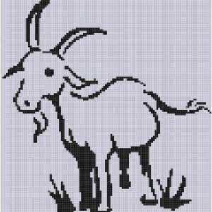 Diagrama de broderie a unei cruci de capra. Descrierea muncii