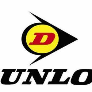 Anvelope Dunlop SP Sport LM704: comentarii
