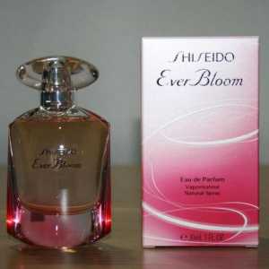 `Shiseido Ever Bloom`: recenzii ale clienților