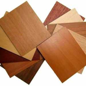 Furnir este un înlocuitor alternativ pentru lemn masiv. Usi interioare din furnir: caracteristici…