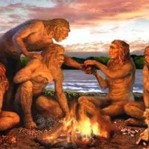 Sinanthropus este reprezentantul lumii oamenilor?