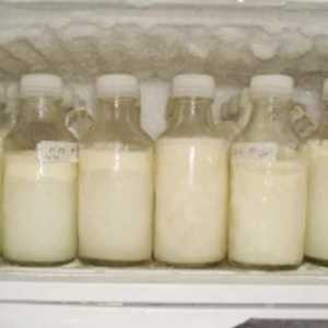 Cât de mult laptele matern poate fi depozitat în frigider și cum se poate face acest lucru