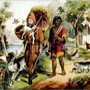 Câți ani au făcut Robinson Crusoe pe insulă? Rezumatul romanului