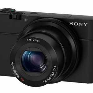 Sony RX100. Sony RX 100 Aparat foto digital - specificatii, preturi
