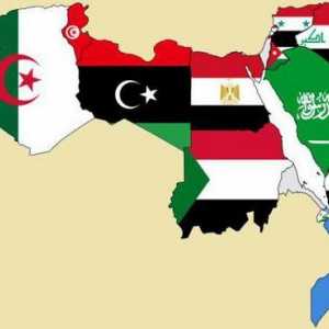 Lumea arabă modernă. Istoria lumii arabe