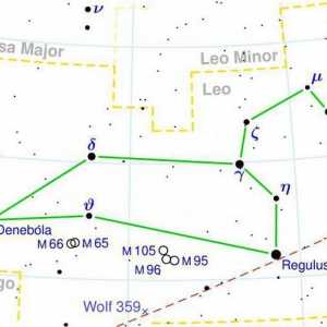 Constellation Lions: locație și stele luminoase