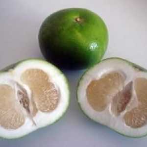 Dulce: proprietati utile ale unui nou fruct exotic