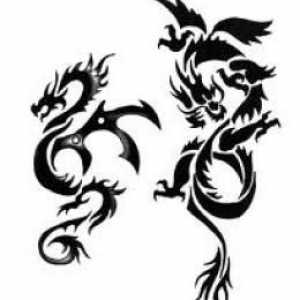 Tatuaj sub forma unui dragon. Tipuri de dragoni (fotografie)