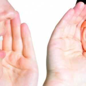 Tehnica și recepția ascultării active în psihologie