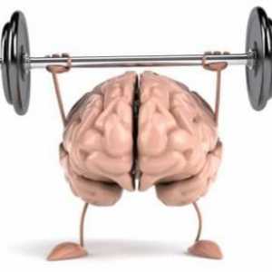 Brain training: exerciții. Brain și de formare de memorie