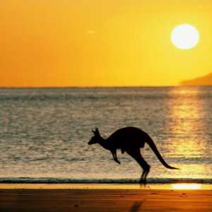 Care sunt zonele climatice ale Australiei? Australia: climă, zone climatice și zone