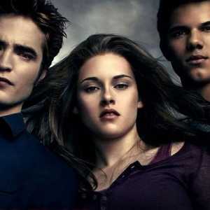 Vampir saga `Twilight`: cărți în ordine
