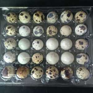 Tipuri de pachete pentru ouă de prepelite