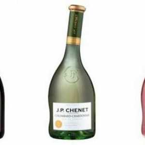 Vin `Jean Paul Chenet` (descriere și recenzii)