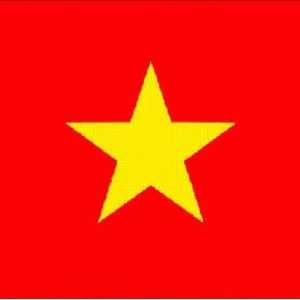 Viza în Vietnam