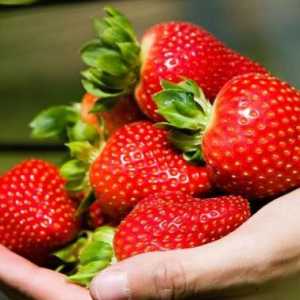 Gustos și util: ce vitamine sunt conținute în căpșuni