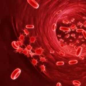 Sângerări interne: simptome și tipuri