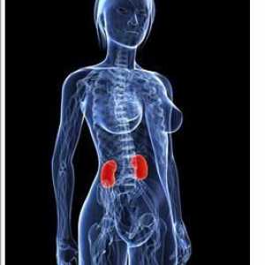 Inflamația rinichiului: simptome la femei. Care sunt simptomele bolii renale la femei?