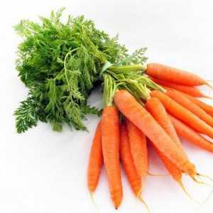 Mistere despre morcovi pentru copii. Idei de a lua un copil (pentru adulți)