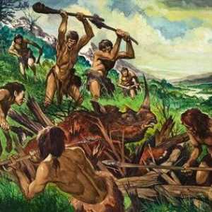 Ocuparea oamenilor primitivi, care a făcut posibilă obținerea alimentelor din carne - vânătoare și…
