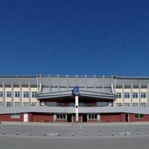 Aeroportul Siberian Vest `Nizhnevartovsk`