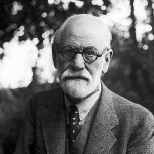 Mecanismele de apărare ale lui Freud cu exemple. Cărți despre psihologie care merită citite