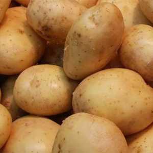 `Zhukovski` (cartofi timpurii): recenzii. Semințe de cartofi…