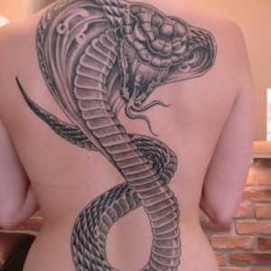 Valorile tatuajelor: șerpi și simbolurile acestora