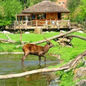 Zoo, Praga - cel mai bun loc pentru o vacanță de familie