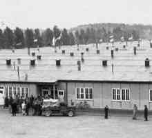 11 Aprilie - Ziua eliberării deținuților din lagărele de concentrare fasciste (scenariu)