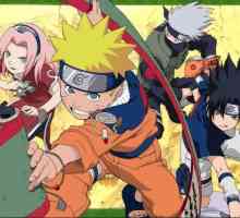 15 Ani pe piața industriei anime: câte serii întregi în "Naruto"?