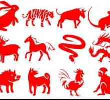 1971 - Год какого животного по восточному календарю? Характеристика символа 1971 года