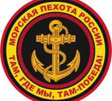 336 Brigada Corpului Marin al Flotei Baltice